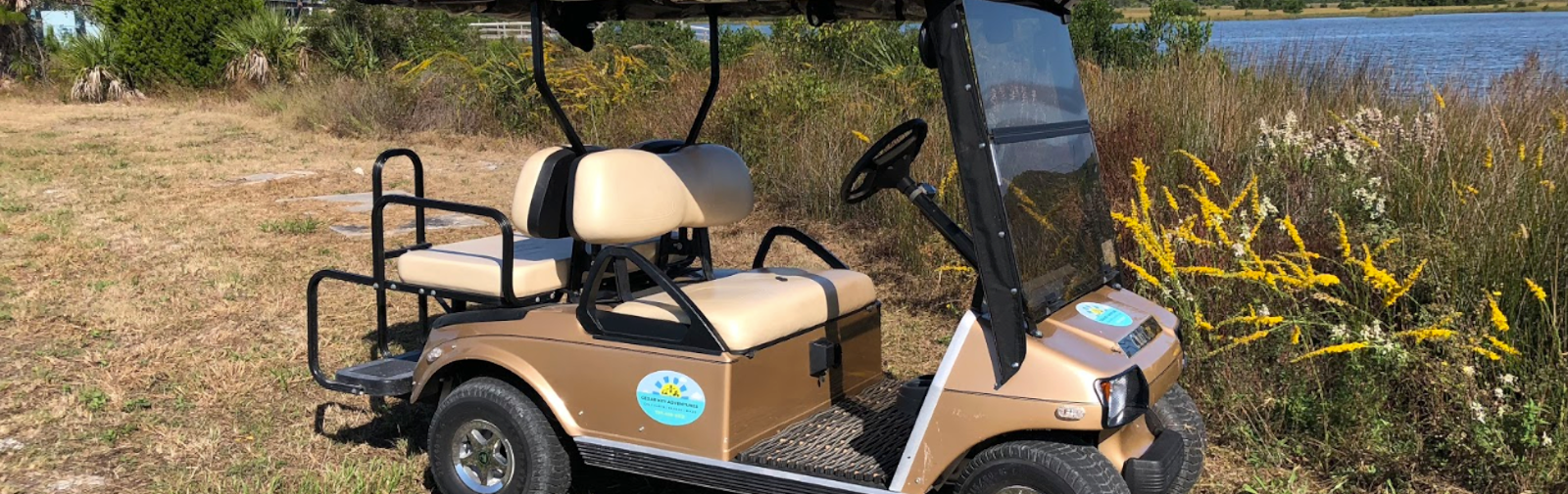 Golf cart.